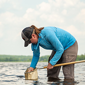 Person scooping organisms from lake with net