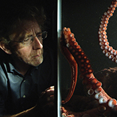 David Scheel looking at an octopus