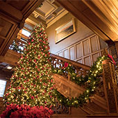 Glensheen Christmas trees