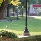 Morris campus scene of greenery