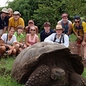 a giant Galapagos turtle with students