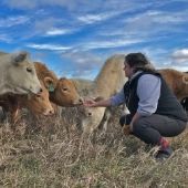 Jennifer Olson feeding cows in field