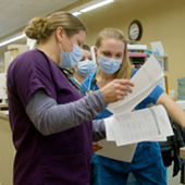 Two medical professionals examine paperwork