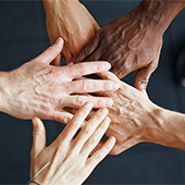 Variety of hands signifying collaboration