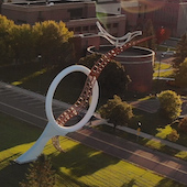 campus aerial shot of UMD