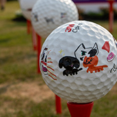 artwork by kids on golfballs