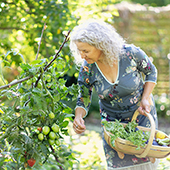 elder woman gardening