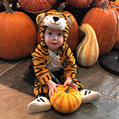 baby wearing tiger costume among pumpkins