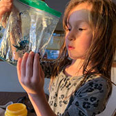child looking at water sample in plastic bag