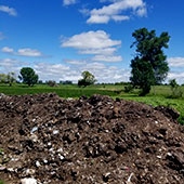 large compost pile at Morris