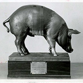 black and white photo of Floyd the pig trophy