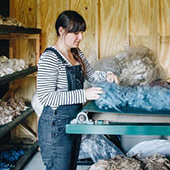Theresa Bentz harvesting wool