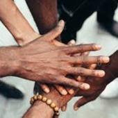 Variety of hands signifying collaboration