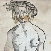 historical sketch of person's anatomy