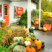 Arboretum applehouse front with fall pumpkin display