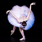 a ballet dancer bowing