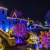 a winter light display at the arboretum