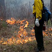 Firefighter watching a controlled burn