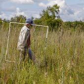 Person walking in field of tall grass 