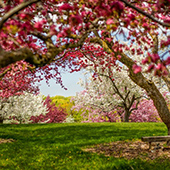 colorful trees and a sitting bench at the arboretum