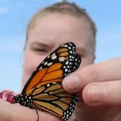 a person holds a monarch butterfly