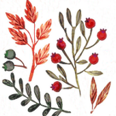 a graphic of assorted leaves and berries indicating fall