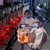 Researchers Holding Organs in Miromatrix Lab