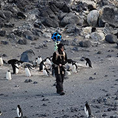 Cole Kelleher in the Antarctic with penguins
