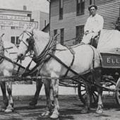 Tow horses pulling a buggy in an old black and white photograph