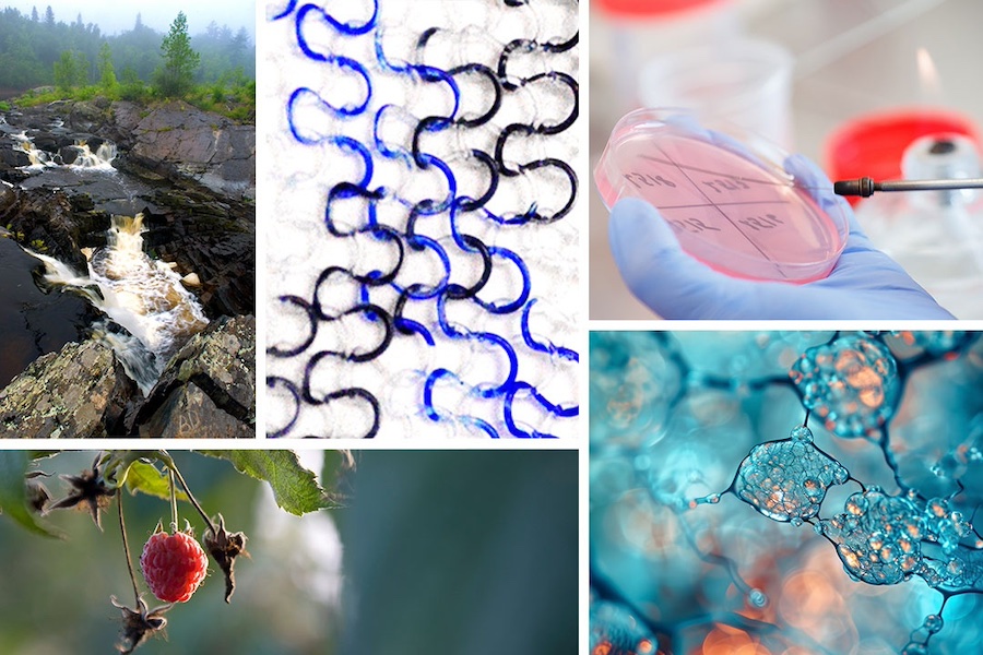 Collage of five images: A river, a raspberry on a branch, a syringe injecting a petri dish, human cells and blue, back and clear cords wrapped together.