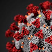 Spike proteins on virus