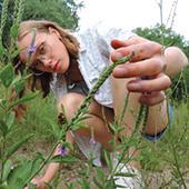 student Lillian Prybil looks at a plant